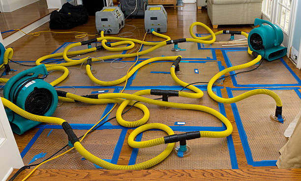 Professional Structural Drying And Dehumidification technician working in Ihlen, MN